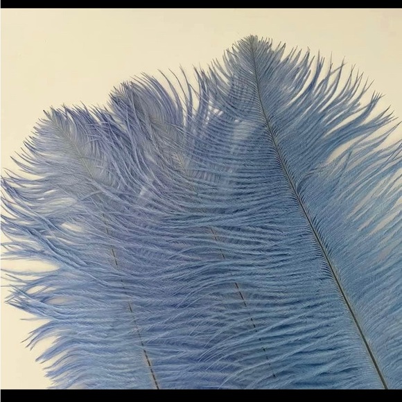 10 count | Dusty Blue Feathers size 12-14 inches Wedding Bouquet ParCenterpiece - Picture 2 of 3